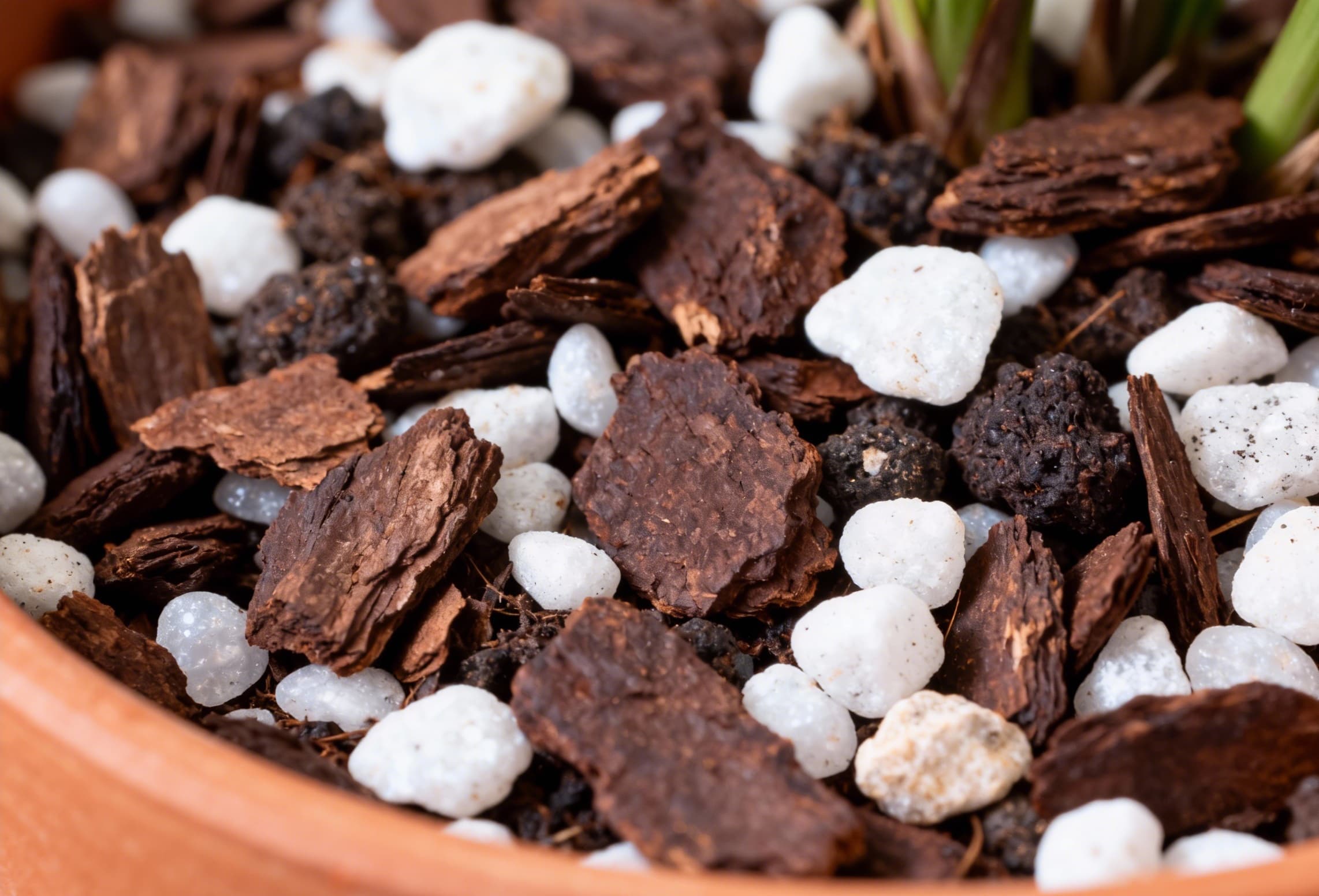Chunky soil mix with orchid bark and perlite